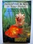 Goldfish and Koi in Your Home