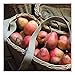 French Country 2015 Wall Calendar