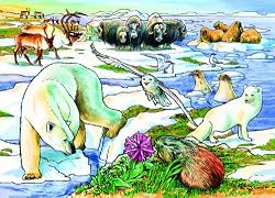 Arctic Adventure (35 Piece Tray Puzzle)