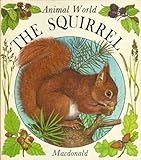 The squirrel