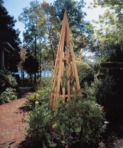 Kitchen: Rustic Natural Cedar PYRAMID TRELLIS   310
