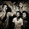Image of White Denim