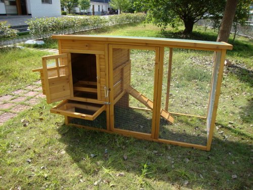 COCOON CHICKEN COOP HEN HOUSE POULTRY ARK NEST 