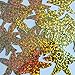 Sequin Starfish 1.5