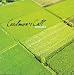 Caedmons Call-40 Acres