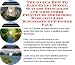 The Mega Earn More Money, Marketing and Inner Game for School Research Jobs On-line Businesses 3 Course Pack