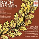 Bach: Cantatas, Nos 26, 173 & 173a