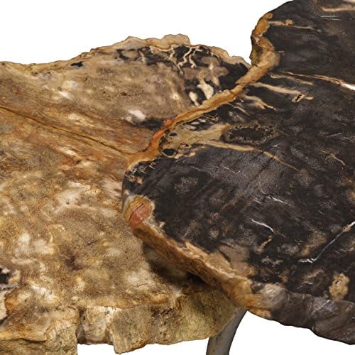 Palecek Cologne Petrified Wood Table, Set of 2
