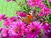 Gardening Woes: Troubleshooting Whats Going On Gardening Woes: Troubleshooting Whats Going On