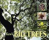 Kew's big trees