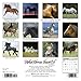 What Horses Teach Us 2015 Mini Calendar