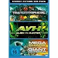 Produkt-Information 