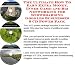 Book The Ultimate How To Earn Extra Money, Inner Game and Biz Networking for Snowboarding Goggles Businesses 3 CD Power Pack