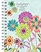 Wells Street by Lang Ladybird 2016 Engagement Planner by Tim Coffey, August 2015 to December 2016, 6.5 x 8.5 Inches (7005082)