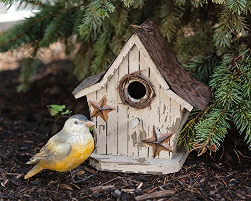 Your Hearts Delight Stars Birdhouse, 7 by 7-1/2 by 4-1/2-Inch, Tan with Rusty