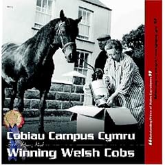 Winning Welsh Cobs/Cobiau Campus Cymru