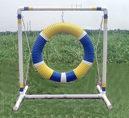 Agility by Carlson Mini Tire Jump