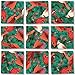 B Dazzle Cardinals Scramble Squares 9 Piece Puzzle