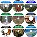 The Incomparable 9 Hour No Money Down, Millionaire Making Real Estate Compilation