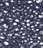 Japanese Ogura Lace Paper- Navy 21x31 Inch Sheet