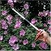26 Long Reach Pruner