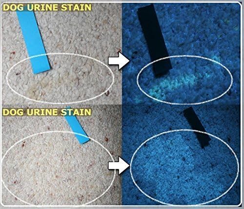 Joyoldelf Black Light UV Flashlight Urine Detector - Professional Quality Ultra Bright Stain Finder - 12 UV LED Lights Make It Easy to Locate Pet Dog, Cat or Rodent Urine Stains - The Best Ultra Violet Flashlight to Find Stains on Carpet, Rugs or Fur