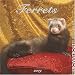Kalender 2009 Ferrets  Frettchen  Browntrout