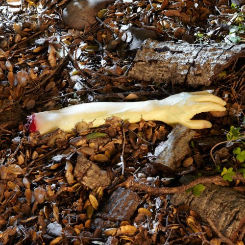 Seasons Severed Arm
