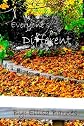 Everyone's Different (Volume 1)