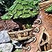 Georgetown Home and Garden Fiddlehead Fairy Victoria's Cottage