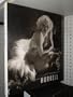 The Portfolios of George Hurrell