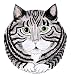 Rescue Me Now Gray Tabby Cat Ear Plate, 10-3/4-Inch