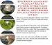 Search : The Down and Dirty Make An Extra Income, Inner Game and eCommerce for Martial Arts Books On-line Biz Package (3 CDs)