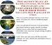 The Down and Dirty How To Earn Extra Money, Marketing and Success Principles for Rubb...