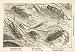1881 Print Beetles Borneo Malaysia Insects Animal Native Species Tree Branch - Relief Line-block Pri