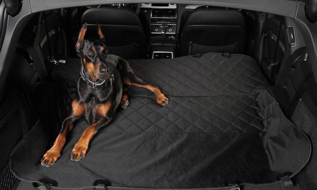 Amazon.com : Dog Seat Cover for Cars - Best Nonslip Backing ...