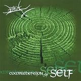 Comprehension of Self