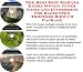 Book The Best How To Earn Extra Money, Inner Game and eCommerce for Badminton Trophies Biz 3 CD Package