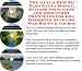 Search : The Insider's How To Earn Extra Money, Marketing and Success Principles for Dog Grooming Supplies Web Biz 3 Course + Resource Guide