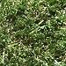 Sphere Turf SR7512 Synthetic Turf Rye, 7-1/2-Foot by 12-Foot