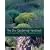 The Dry Gardening Handbook: Plants and Practices for a Changing Climate