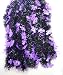 Purple Bats - 15ft. Black Halloween Garland