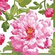 Caspari Entertaining with Caspari Chloe Paper Dinner Napkins, Pack of 20, Pink