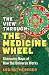 The View Through the Medicine Wheel: Shamanic Maps of How the Universe Works