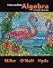 Intermediate Algebra (alt ed. hardcover)