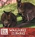 Wallabies and Their Babies (Zoo Life Book) Wallabies and Their Babies (Zoo Life Book)