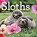 Sloths Wall Calendar 2016