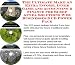 Book The Ultimate Make An Extra Income, Inner Game and Accounting & Finance for Sleep Apnea Solutions Web Businesses 3 CD Power Pack