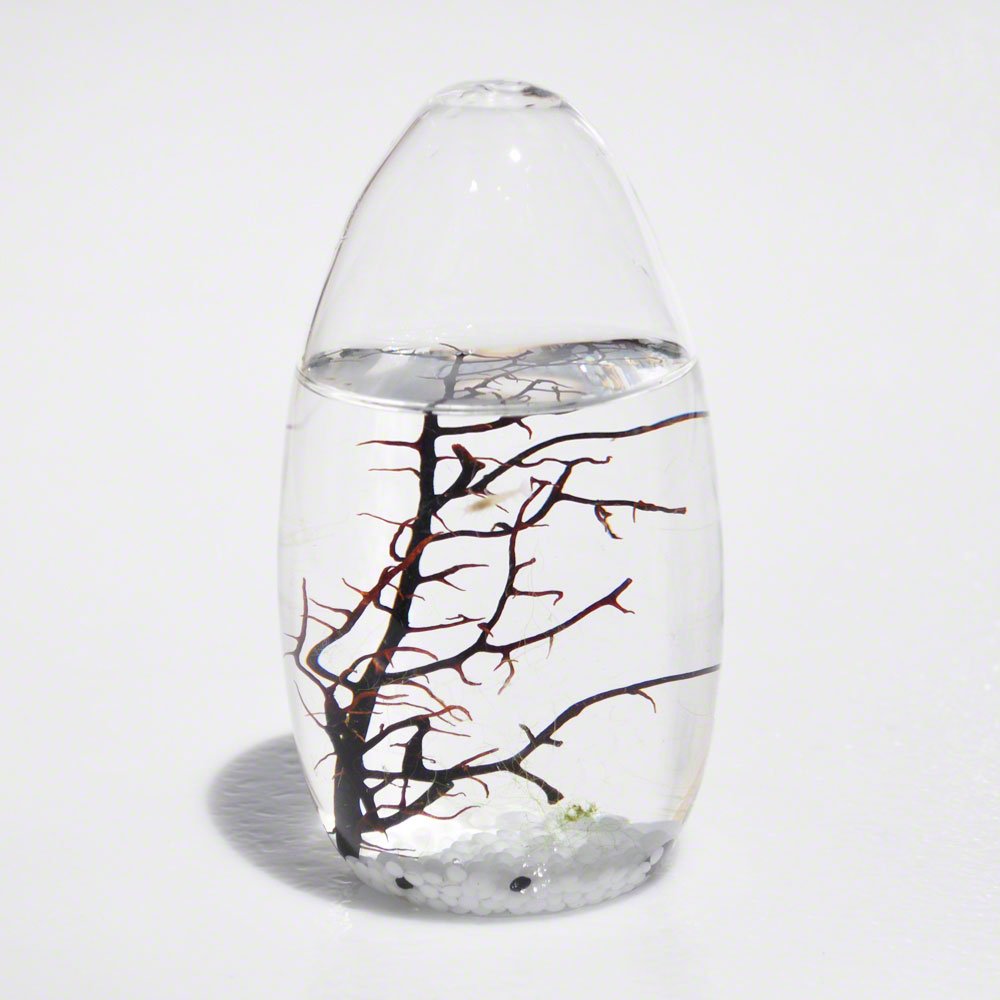 EcoSphere Small Pod 3.5 x 3.5 x 5.2 inches