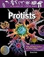 Protists: Algae, Amoebas, Plankton, and Other Protists (Class of Their Own (Library))